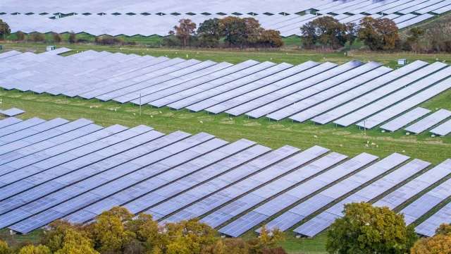 Aerial shot of a field with severals rows of solar panels